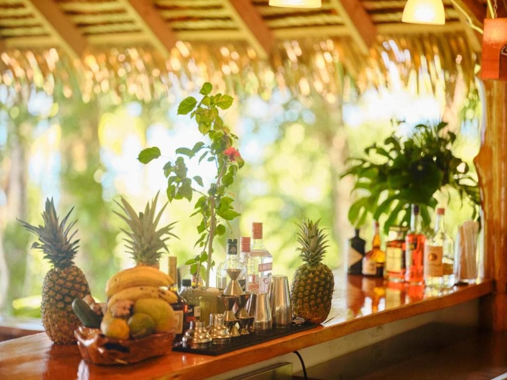Copa De Arbol Beach & Rainforest Resort