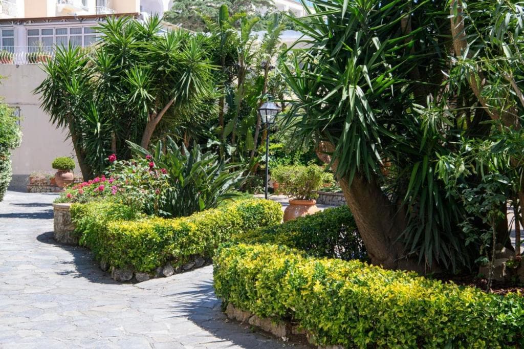 La Residenza Capri