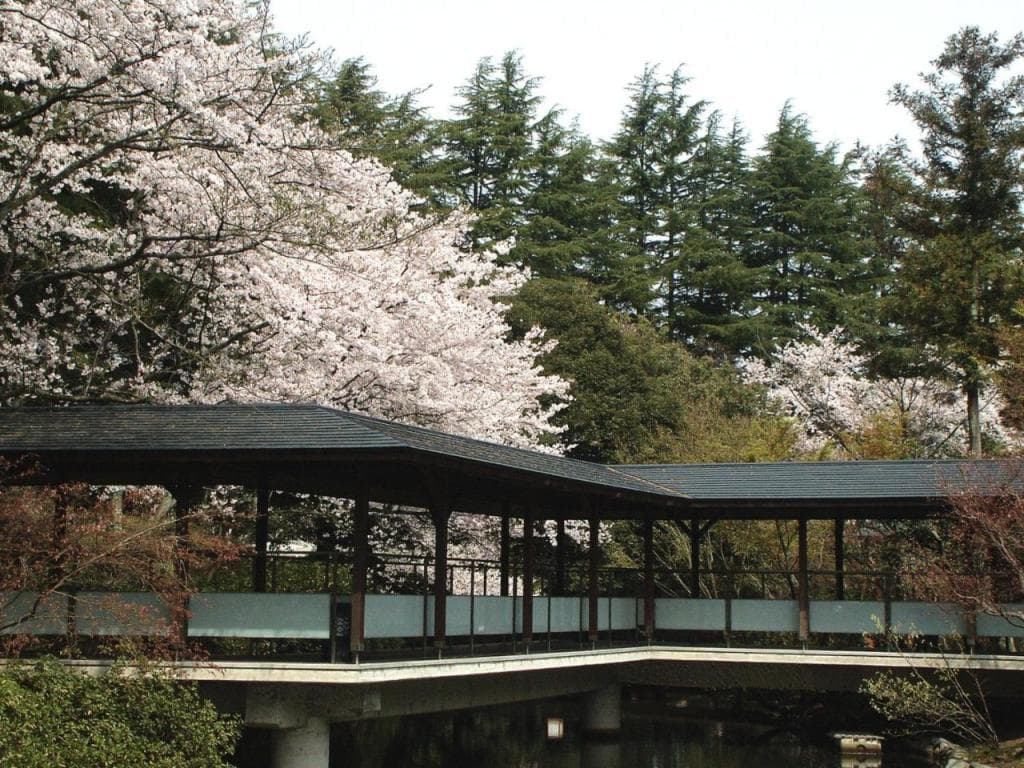Matsusaki