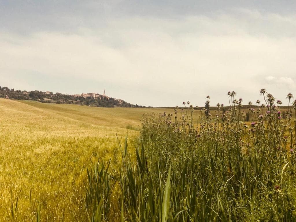 La Saracina