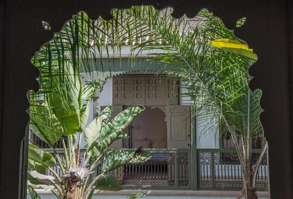 Riad Jaaneman
