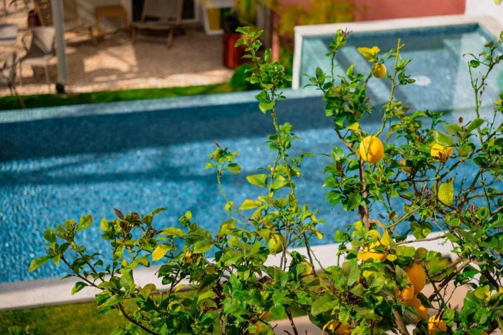 Jardim da Lapa by Shiadu