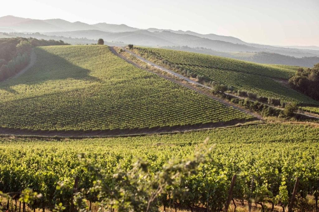 Wine Resort Dievole