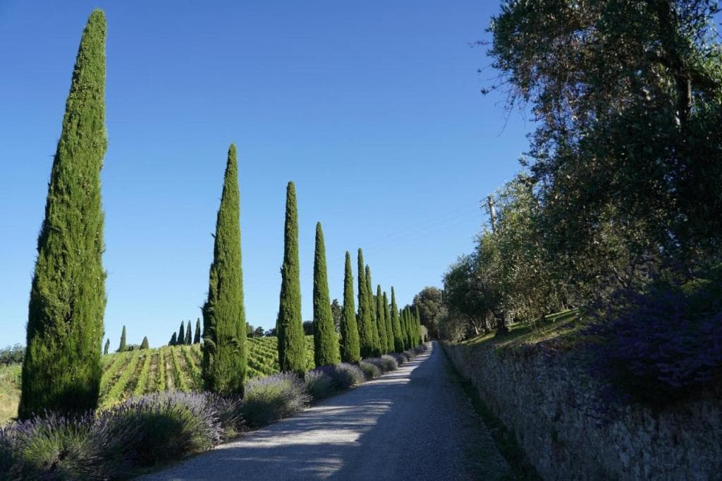 Wine Resort Dievole
