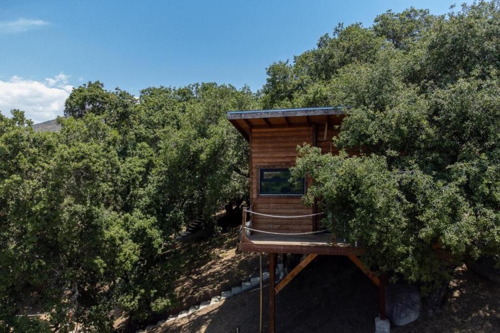 Boskenvid Hotel - Romantic Treehouses & Skypool