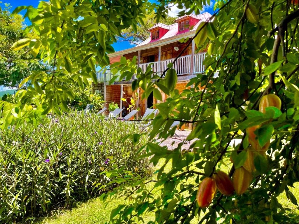 Habitation Caféière Samana Beauséjour - GUESTHOUSE, Pointe-Noire