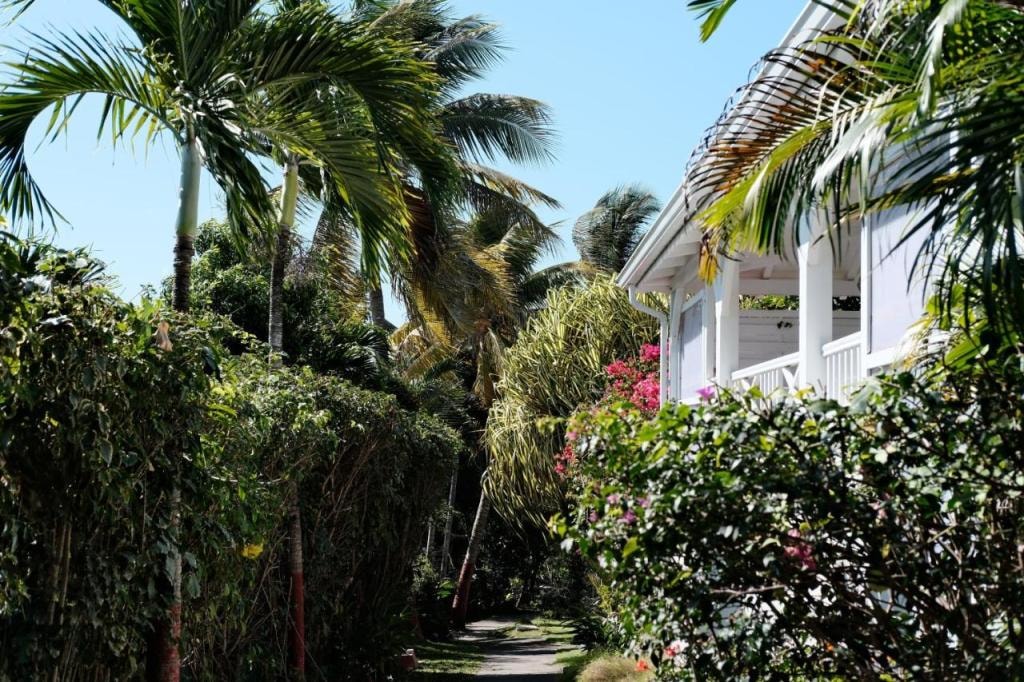 Nid Kreyol, Sainte-Anne