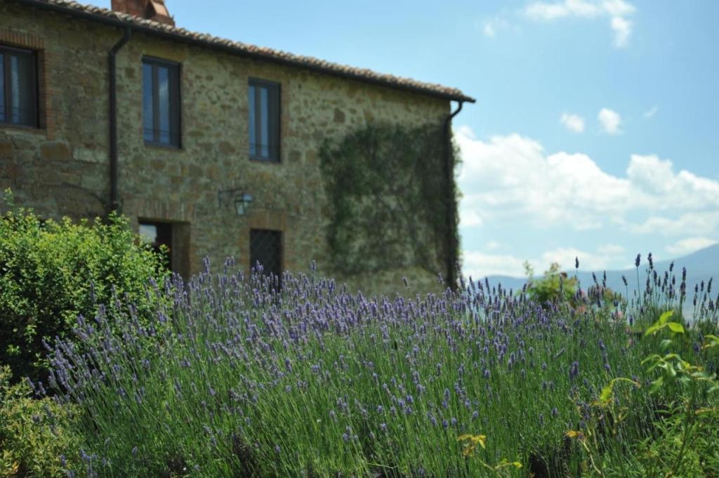 L'Olmo