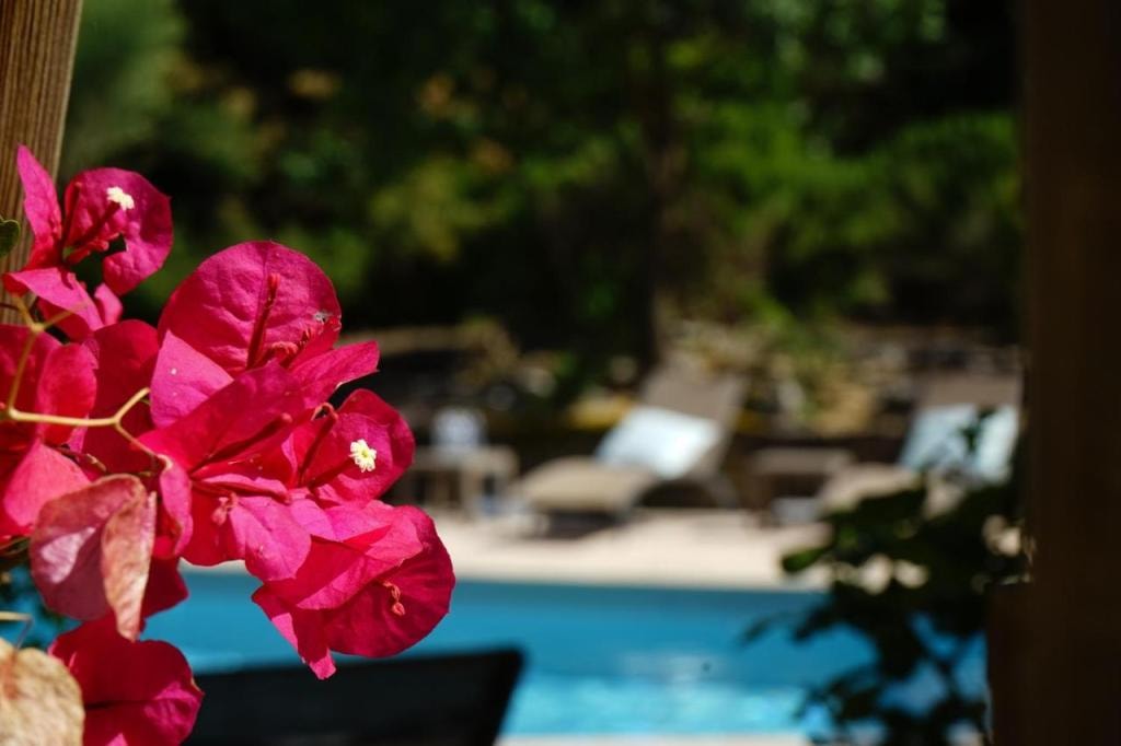 Logis Hotel Le Blason de Provence, Monteux