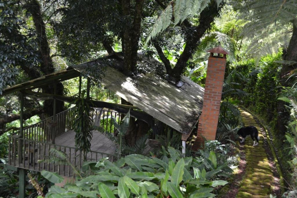 Finca Paraiso Mountain Retreat near San Jose Airport