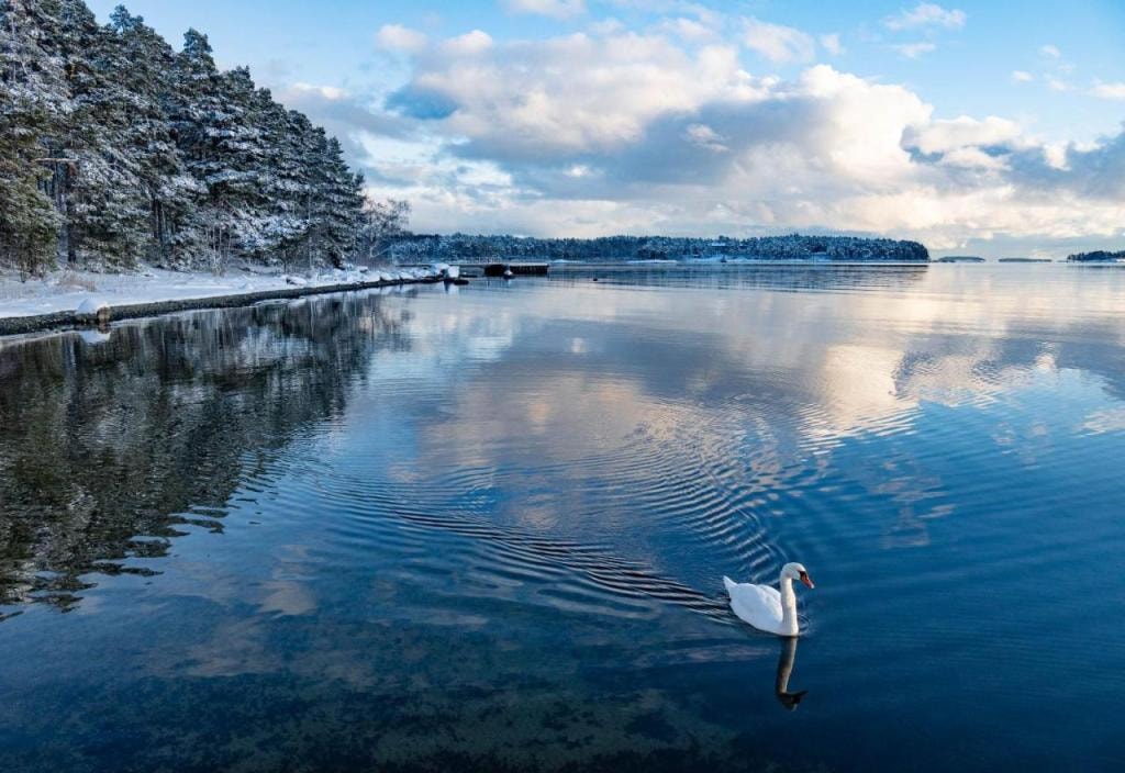 Hotel Rantapuisto