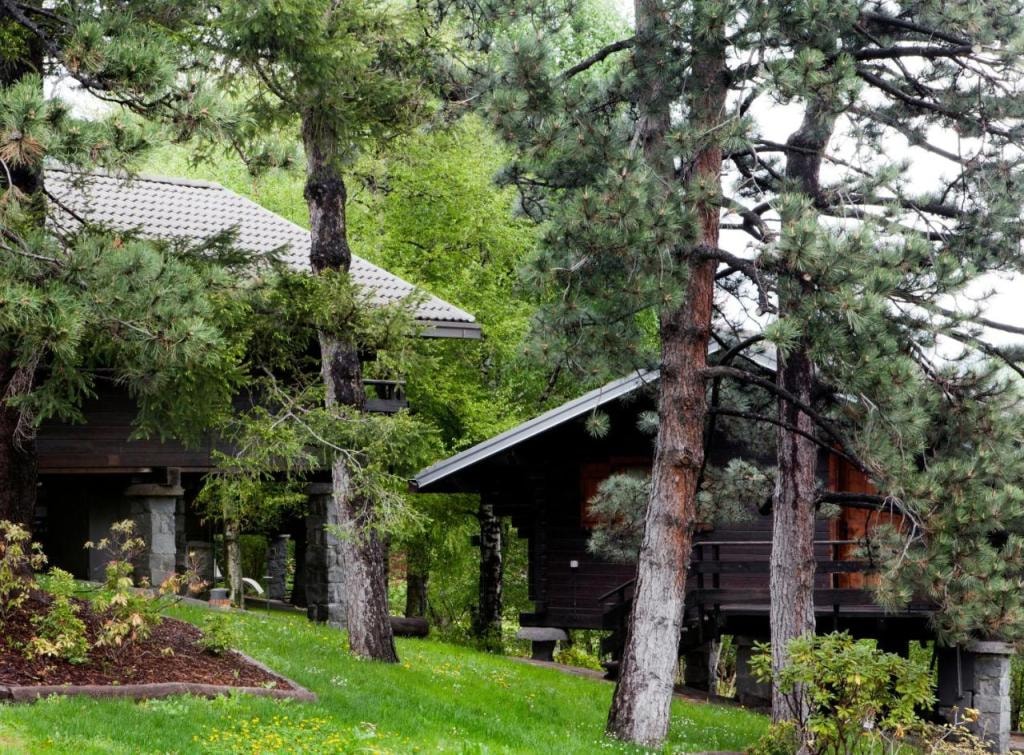 Hotel Village