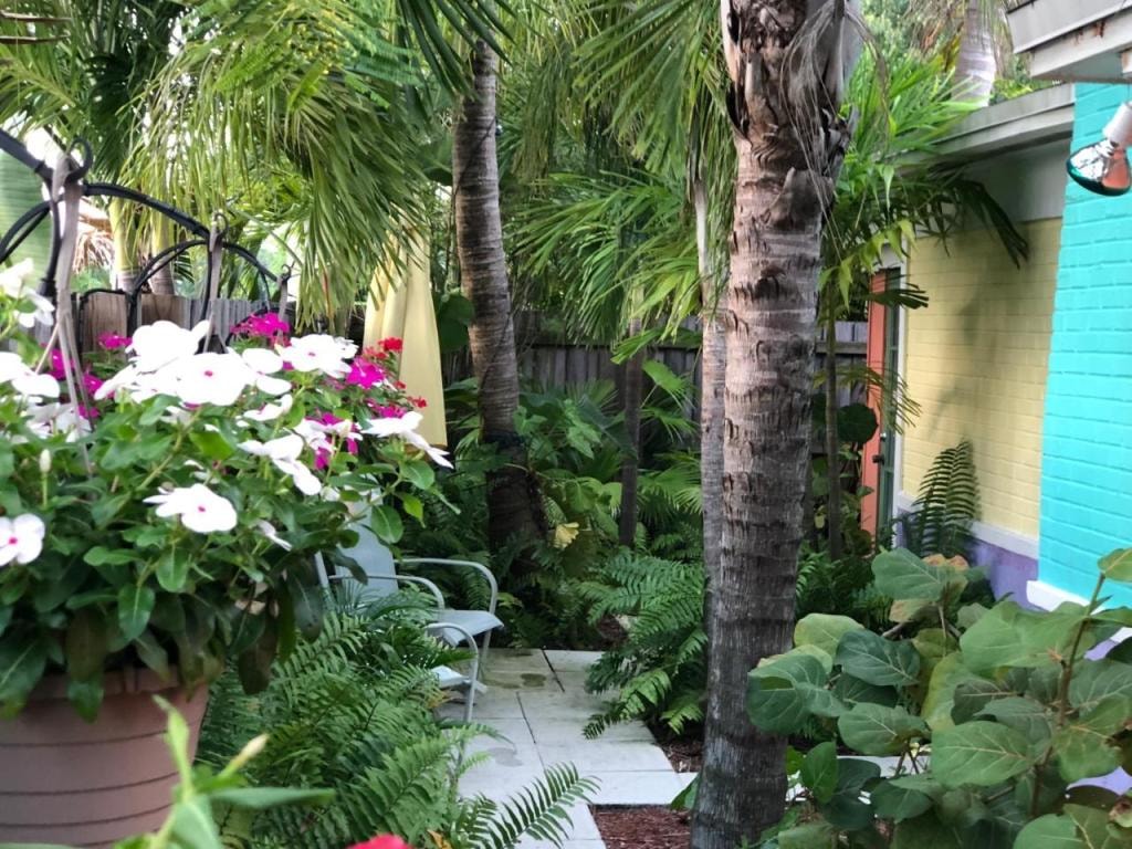 Calypso Inn Wilton Gay Male Resort