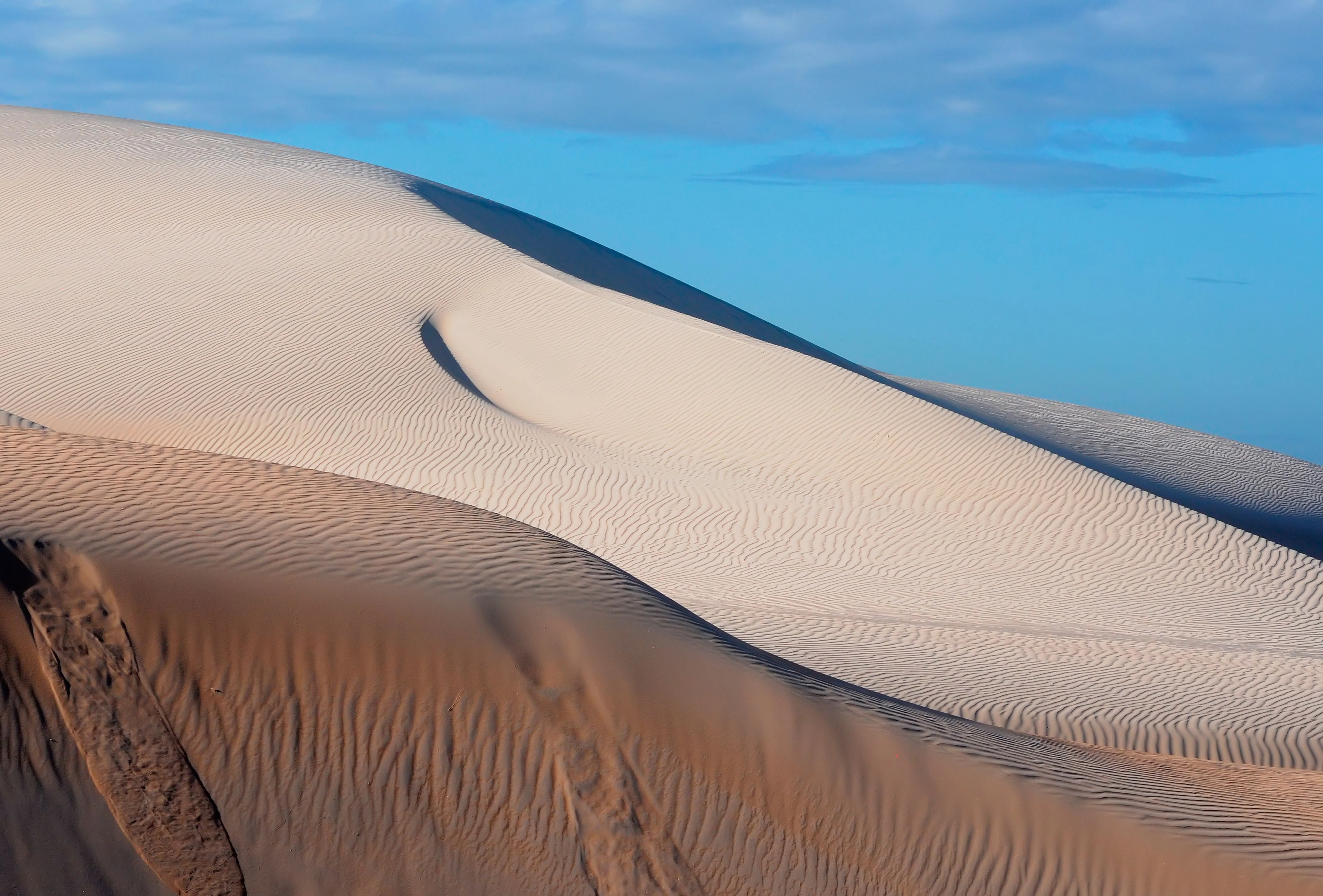 Maspalomas après la tombée de la nuit : vivre la dune en toute confiance, entre liberté et bienveillance