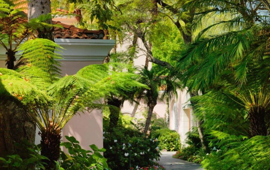 Hotel Bel-Air - Dorchester Collection