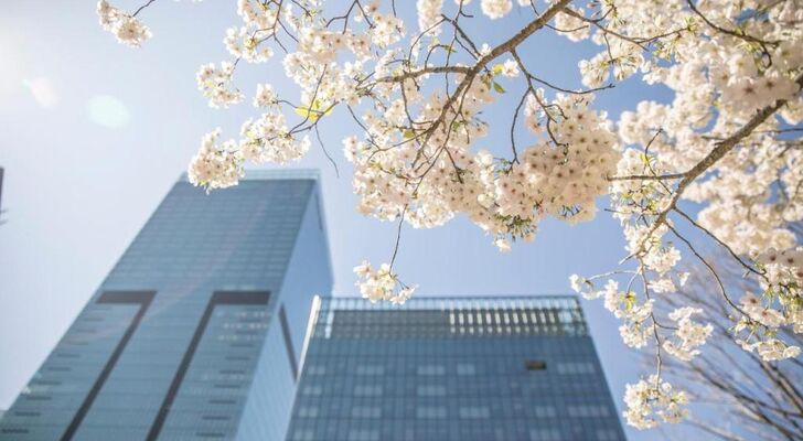 The Okura Tokyo