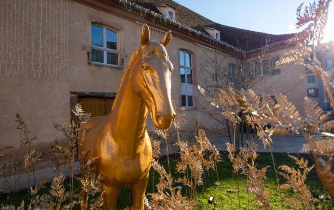 Hotel Les Haras