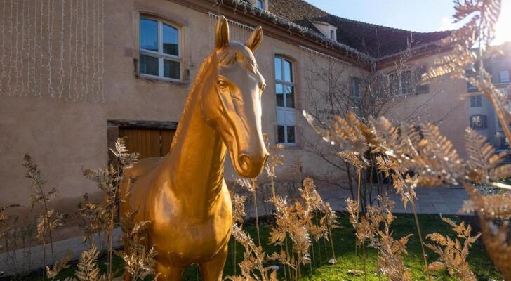 Hotel Les Haras